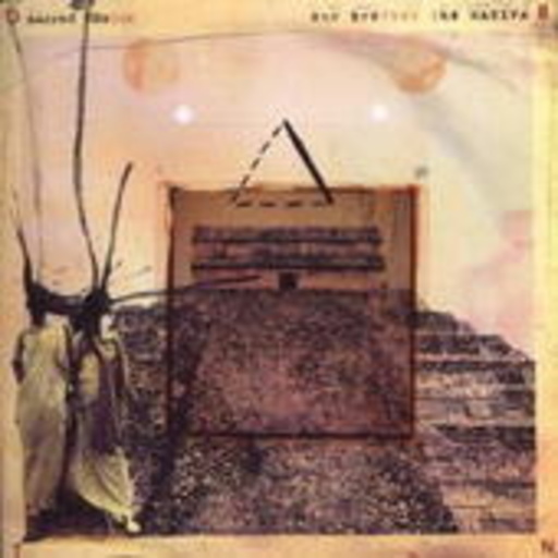 Our Brother The Native – Sacred Palms