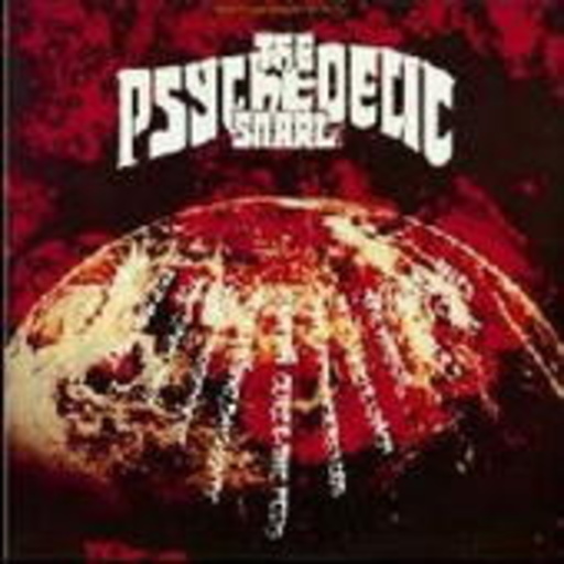 Diverse – The Psychedelic Snarl Rubble Vol. 1