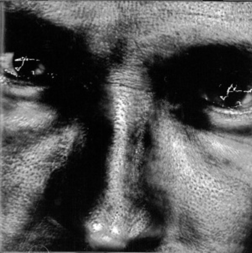 Bill Laswell/Raoul Björkenheim – Blixt