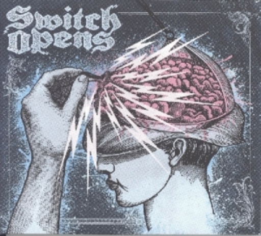 Switch Opens
