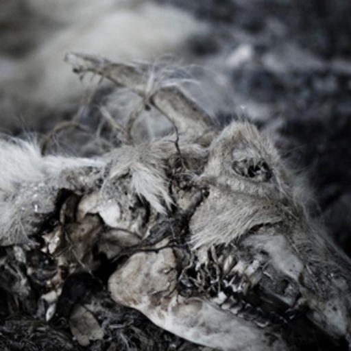 Aphonic Threnody – When Death Comes
