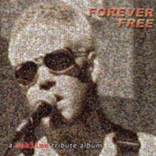 Diverse – Sublime Tribute