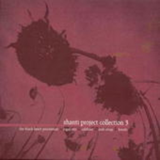 Diverse – Shanti Project Collection Vol. 3