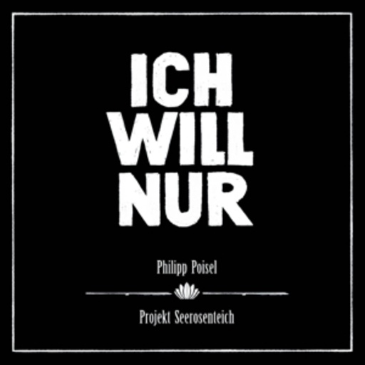 Philipp Poisel – Ich will nur (Live)