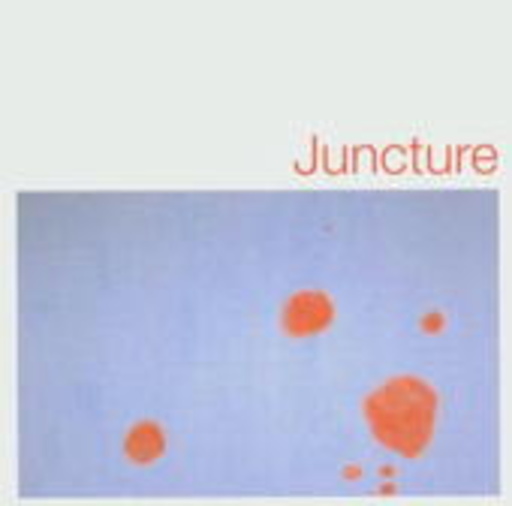 DJ Spooky/James Hurt – Juncture