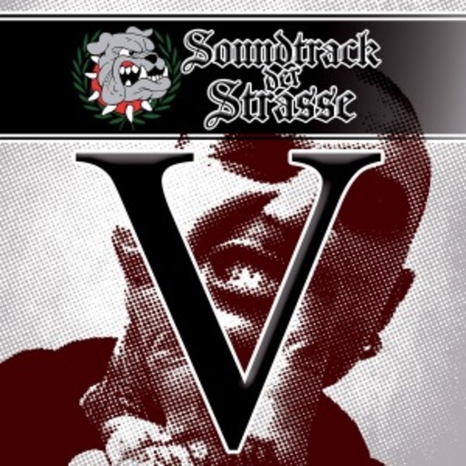 Diverse – Soundtrack der Strasse Vol. V