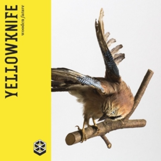 Yellowknife – Wooden Future