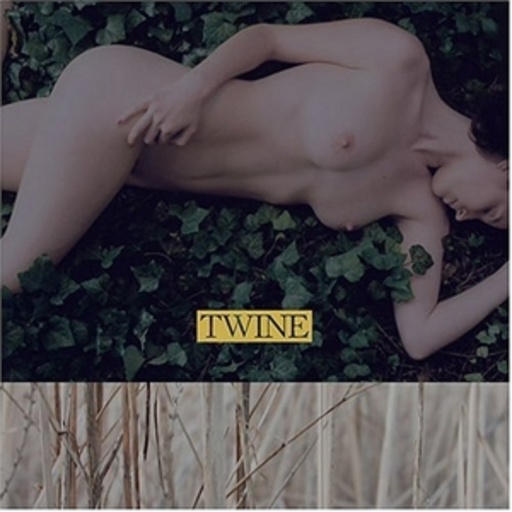 Twine – Twine