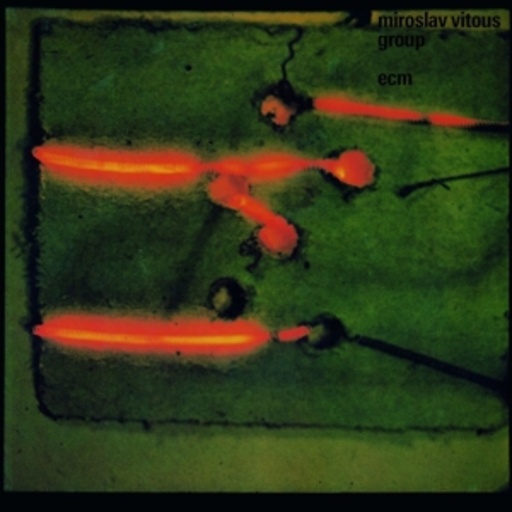 Miroslav Vitous – Miroslav Vitous Group