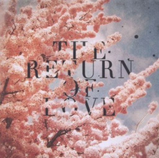 Woolfy Vs. Projections – The Return Of Love