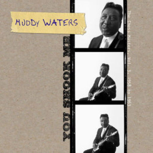 Muddy Waters – You Shook Me - The Chess Masters Vol. 3 - 1958-1963