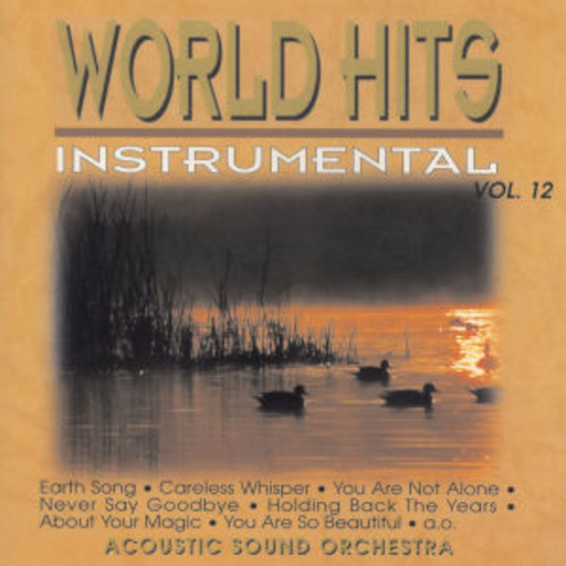 World Hits Vol. 12
