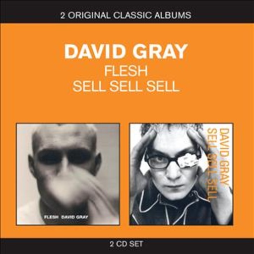 David Gray – Flesh/Sell Sell Sell