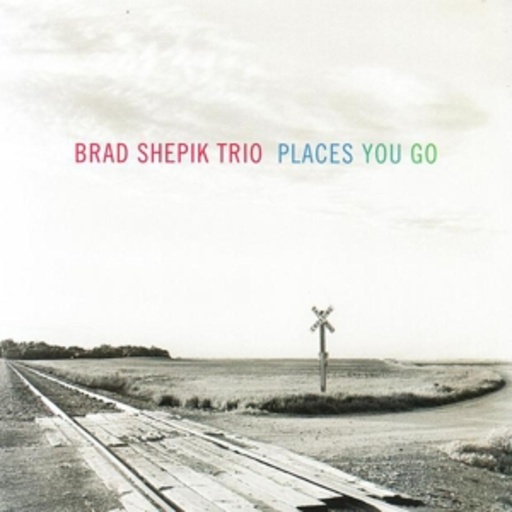 Brad Shepik Trio – Places You Go
