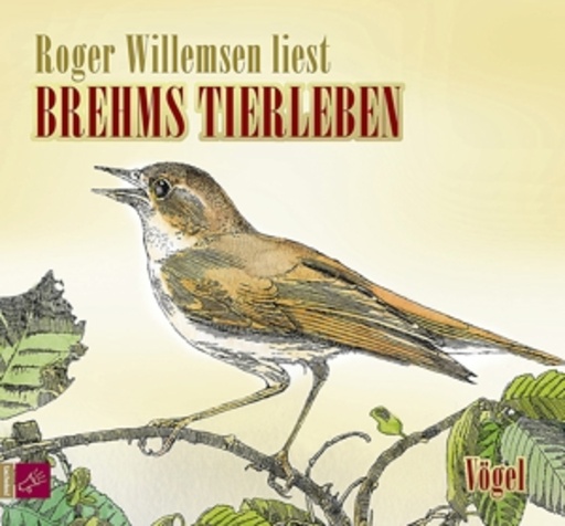 Roger Willemsen – Brehms Tierleben - Vögel