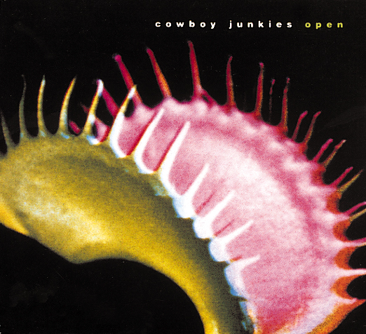 Cowboy Junkies – Open