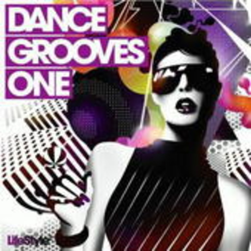 Diverse – Dance Grooves Vol. 1 (New Version)