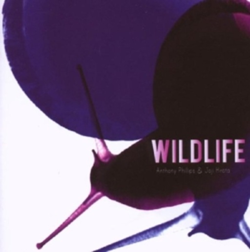 Anthony Phillips – Wildlife