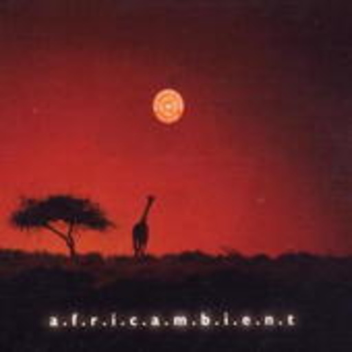 Diverse – a.f.r.i.c.a.m.b.i.e.n.t