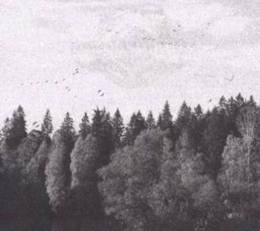 October Falls – A Collapse Of Faith