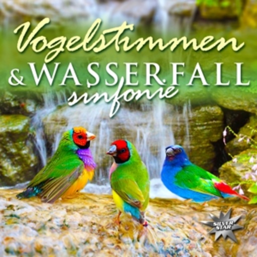 Vogelstimmen & Wasserfallsinfonie