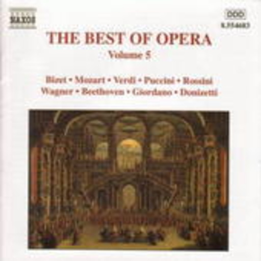 The Best Of Opera Vol. 5