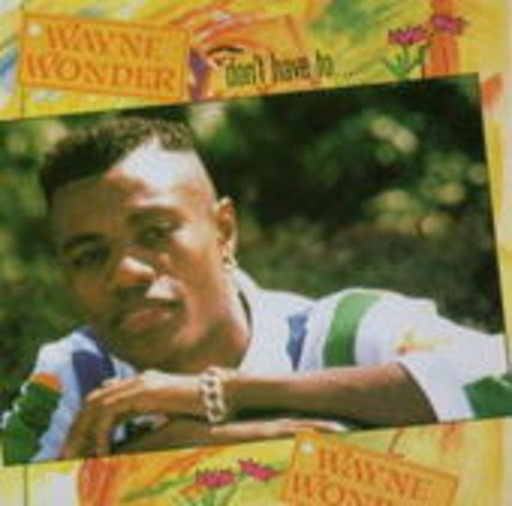 Wayne Wonder – Don't Have To