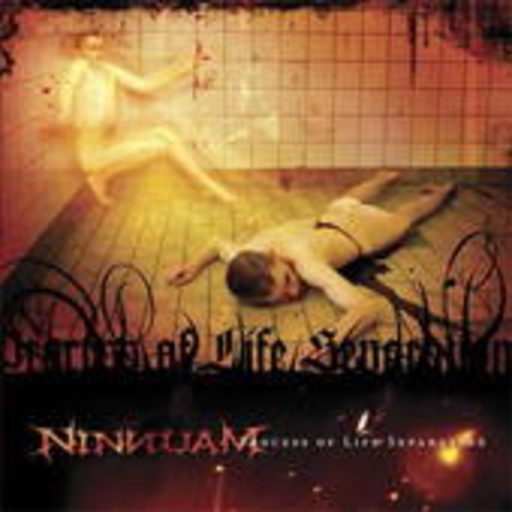 Ninnuam – Process Of Life Seperation