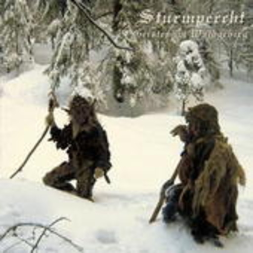 Sturmpercht – Geister im Waldgebirg