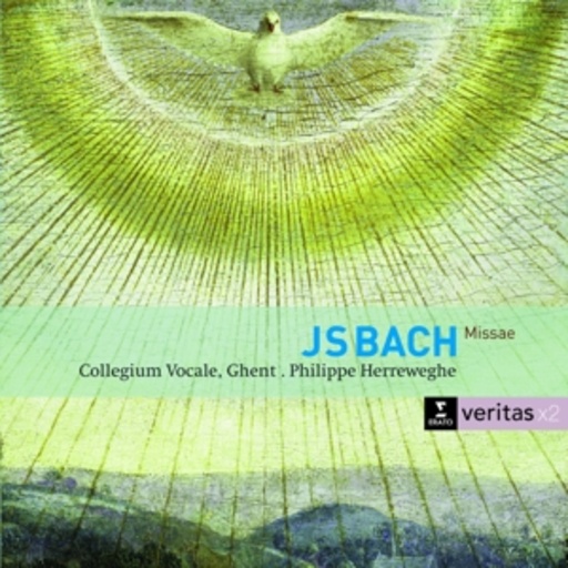 Messen BWV 233-235