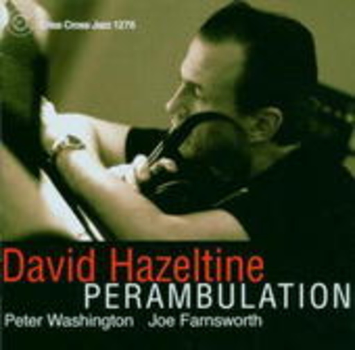 David Hazeltine Trio – Perambulation