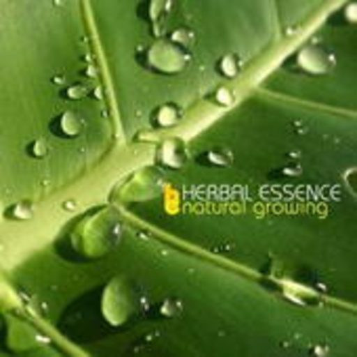 Herbal Essence – Natural Growing