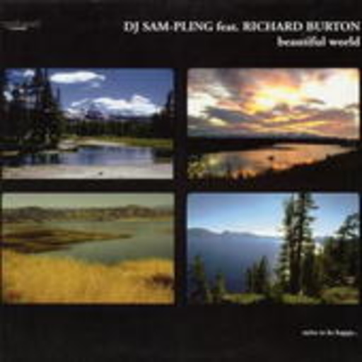 DJ Sam-Pling feat. Richard Burto – Beautiful World