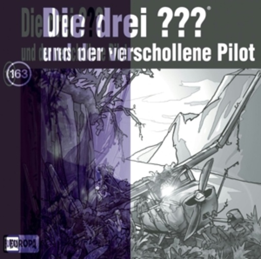 … und der verschollene Pilot (163)