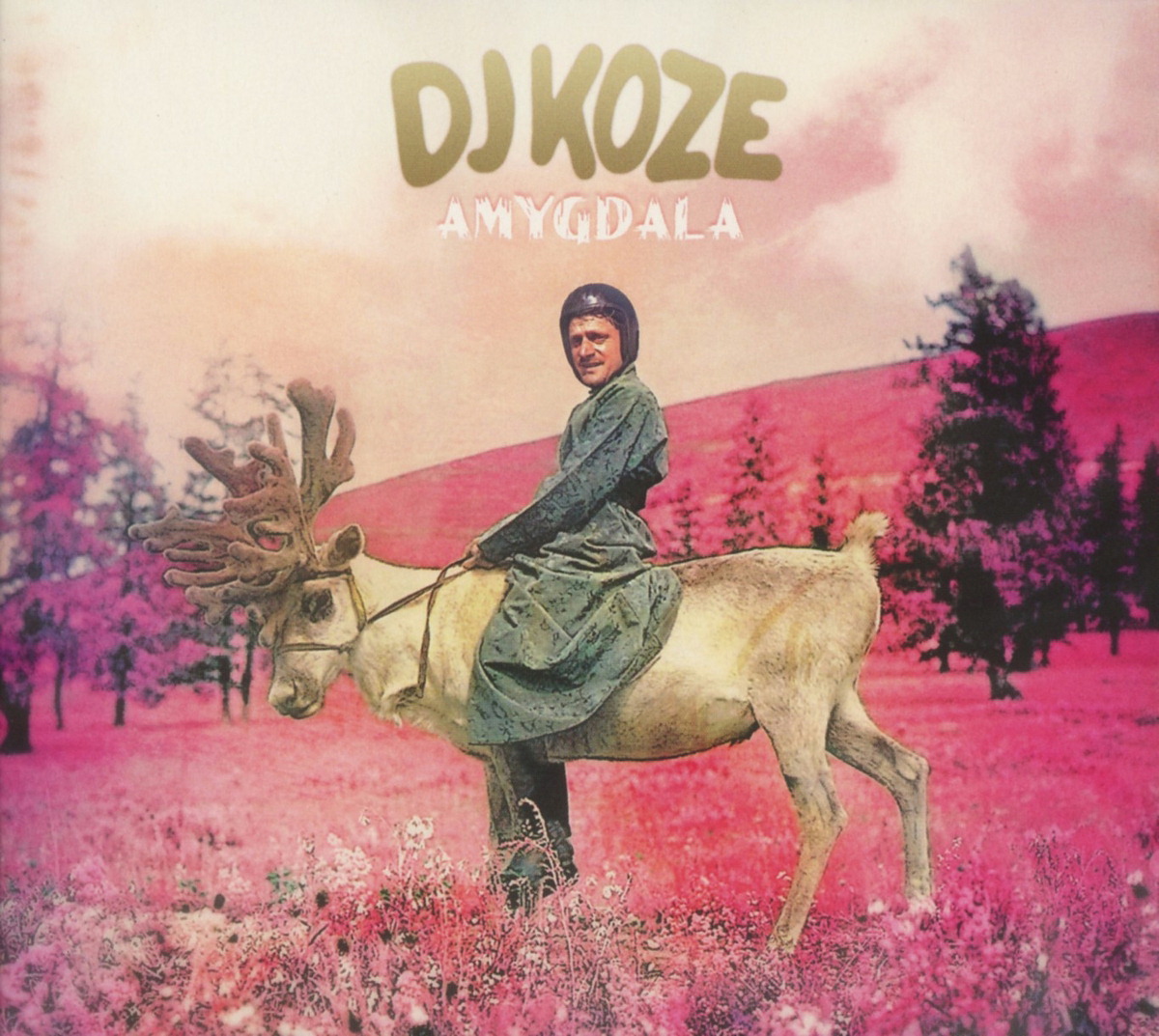 DJ Koze – Amygdala