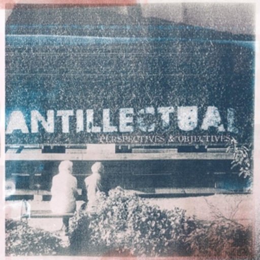Antillectual – Perspectives & Objectives
