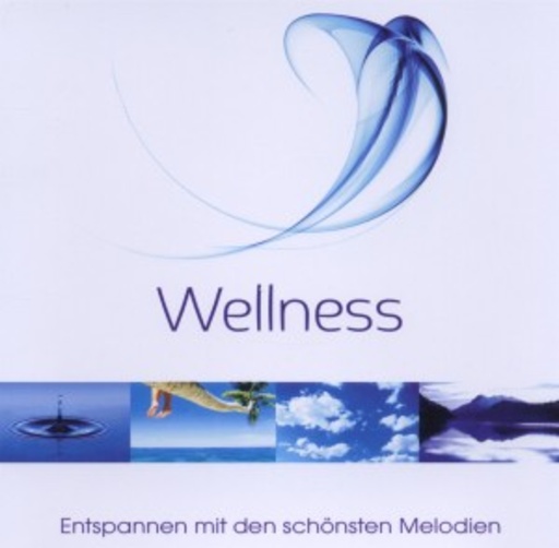 Diverse – Wellness - Entspannen mit den schönsten Melodien