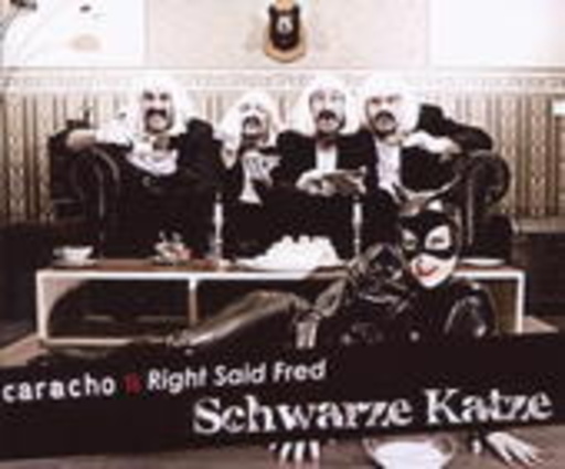 Schwarze Katze