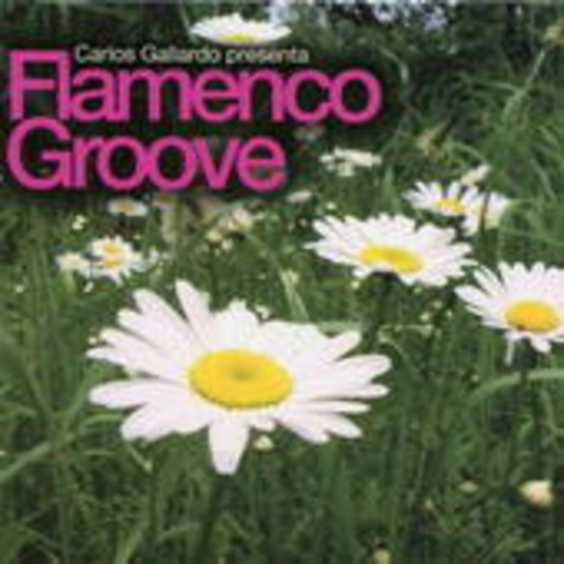 Carlos Gallardo – Flamenco Groove