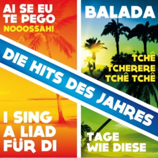 Diverse – Die Hits des Jahres
