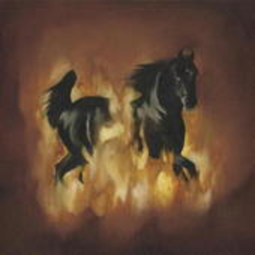 The Besnard Lakes – Are The Dark Horse