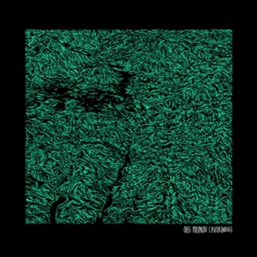Oleg Poliakov – C.A.V.O.K. (NOSIG)