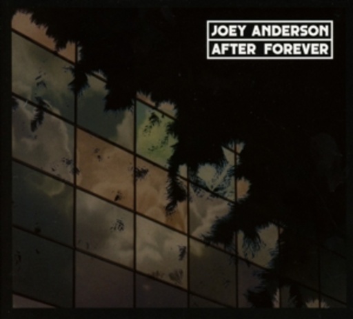 Joey Anderson – After Forever