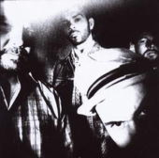 Birdy Nam Nam – Manual For Successful Rioting