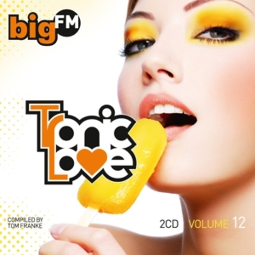 Diverse – Tronic Love Vol. 12 - Big FM
