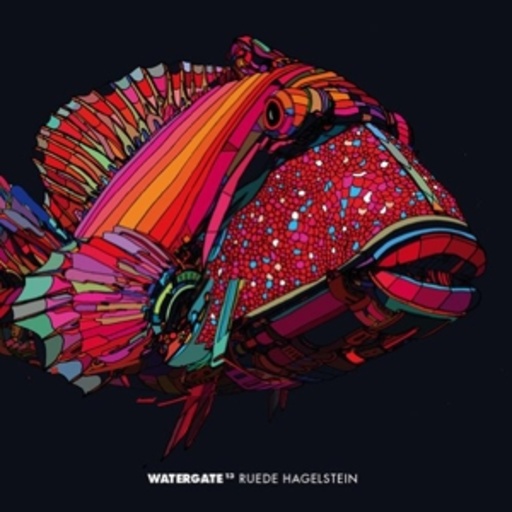Ruede Hagelstein – Watergate 13