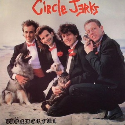Circle Jerks – Wonderful