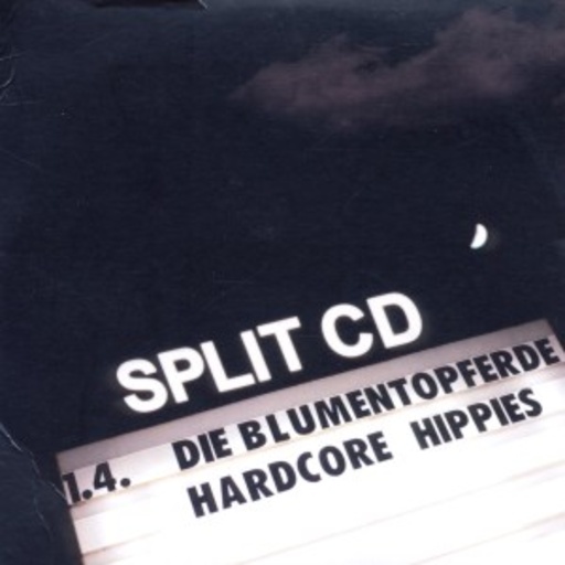 Split CD