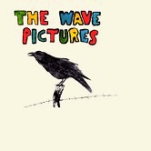 The Wave Pictures – City Forgiveness