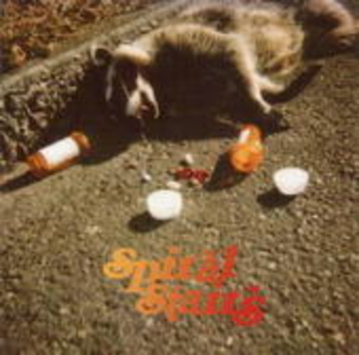 Spiral Stairs – The Real Feel